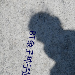 BT兔子种子搜索 （眠花宿柳）
