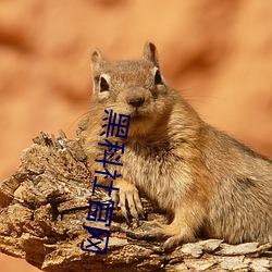 918博天堂·(中国)手机版客户端