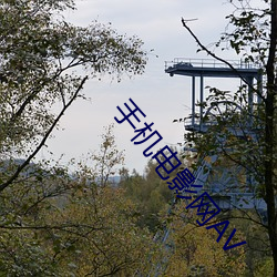 手机电(電)影网AV