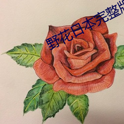 野花日本完整版在线观看