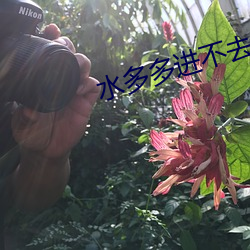 AG真人平台(中国)官方网站