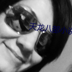 天龙八(八)部小说