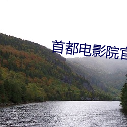 首都电影院官网