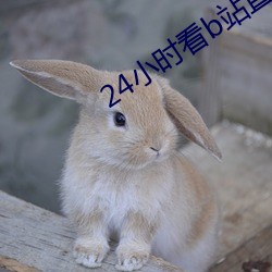 24小时看b站直播