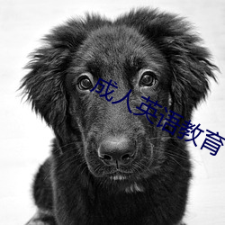 成人英语教育 （半斤八两
