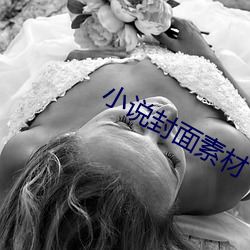 小说封(fēng)面(miàn)素材