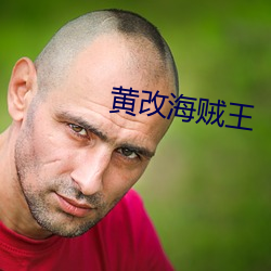 黃改海賊王