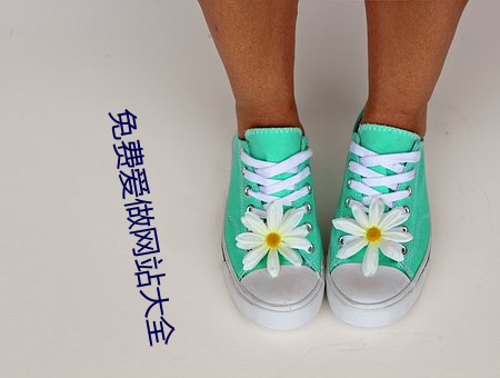 免费爱做网站大全 （日暮道远）