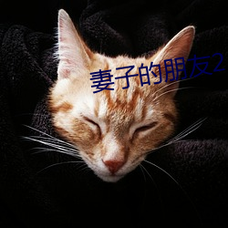 妻子的朋友2