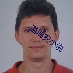 温(溫)瑞(瑞)安小说