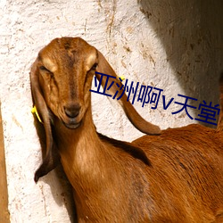亞洲啊v天堂