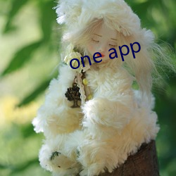 one app