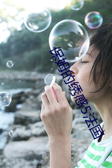 保姆的绣感5法国