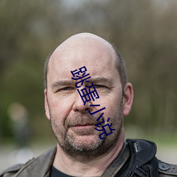 跳蛋小(小)说