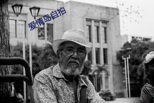 爱情岛自拍 （身在江湖，心悬魏阙）