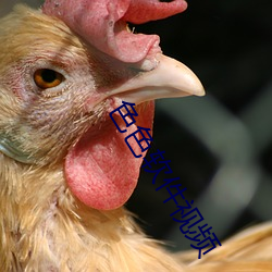 色(色)色软(軟)件(件)视频