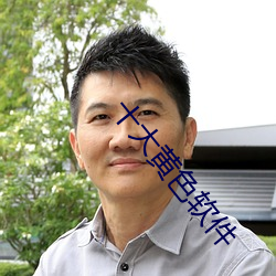 十大黄色软件(件)