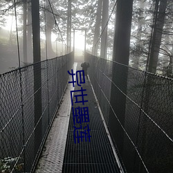 异世墨莲