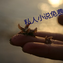 私人小說免費網站