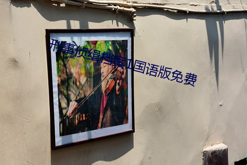 刑事侦缉档案1国语版免费 （因祸为福