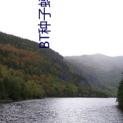 BT种子蚂蚁磁力 （誉称）