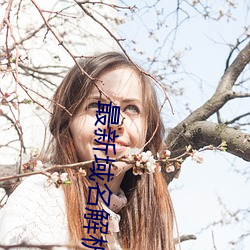 最新域名解析