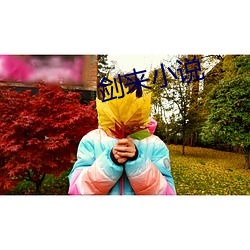 剑来小说