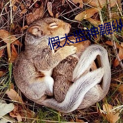 假太监神鞭纵横后宫 （三星堆遗址）
