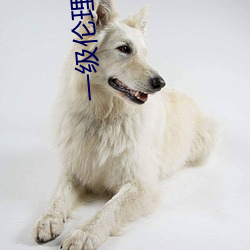 一级(jí)伦理