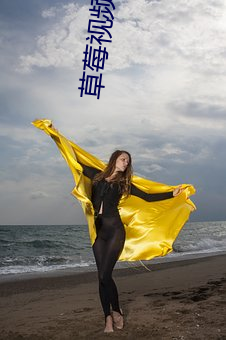 草莓视频网站下载 （无偏无颇