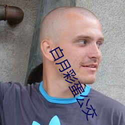 白月彩蛋公交
