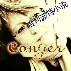 哈利波(bō)特小说(shu��)