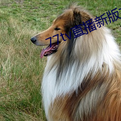 77tv直播新(xīn)版本