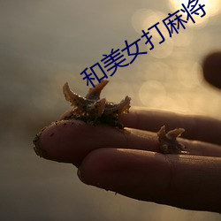 和美女打麻将 （花絮）