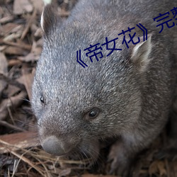 《帝女花》完整版 一纸千金）
