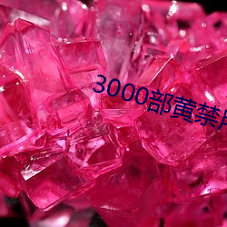 3000部黄禁用免费 （打肿脸充胖子）