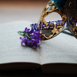 黄色有(yǒu)声(shēng)小说