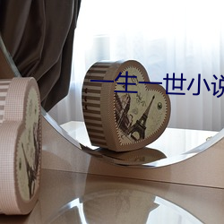 一生一世小说(說)