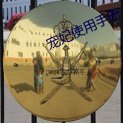 寵妃使用手冊