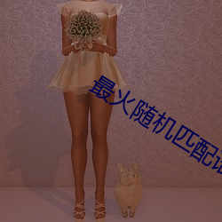 最火随机匹配语音聊天