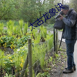 太古龙象诀(jué)
