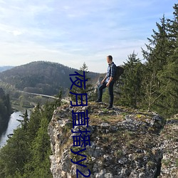 夜(夜)月(月)直播yy22tc