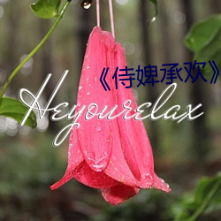 《侍婢(bì)承欢》