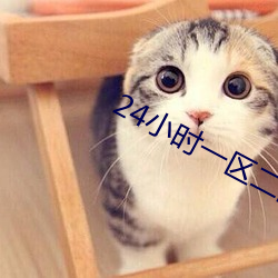 24小时一区二区三在线播放
