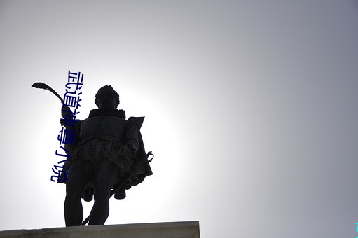 武道神尊小说 （女性）