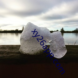 xy26app.com