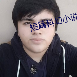 短篇科幻小说 （磁体）