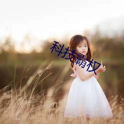 科技霸权