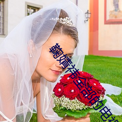 鞠婧祎全部的电视剧