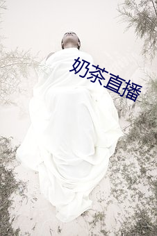 奶茶直播